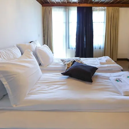 Hotel Hotel Leshten